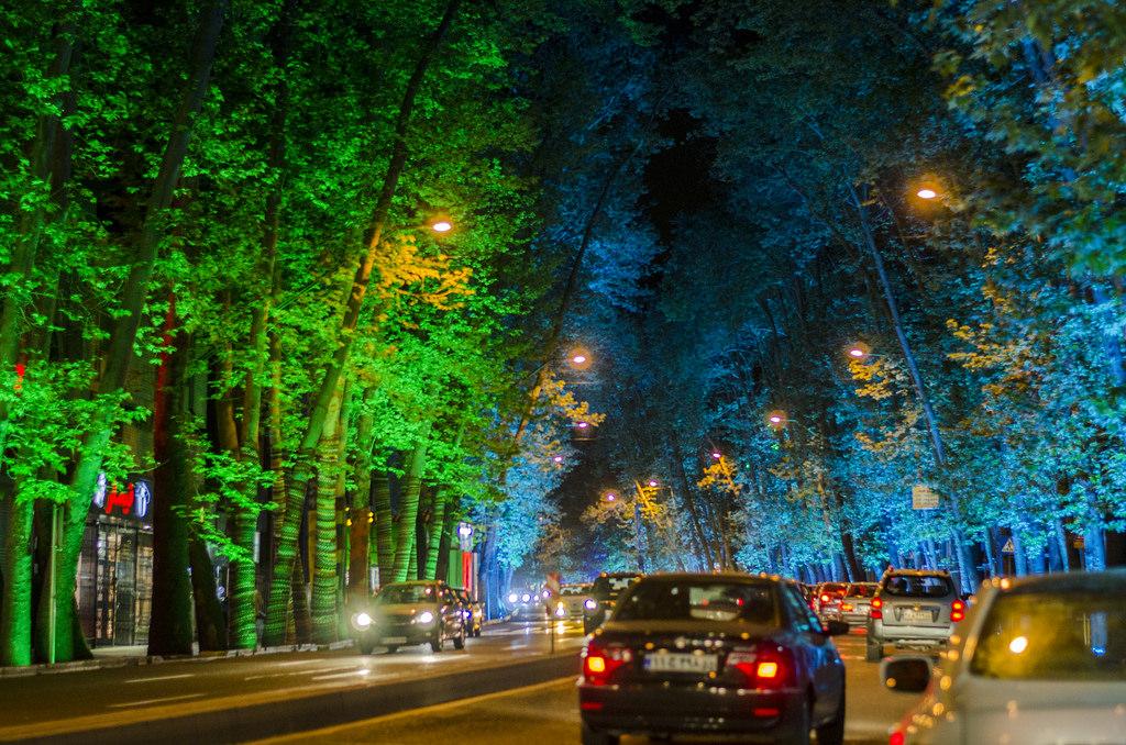 آلودگی نوری، عامل مرگ تدریجی درختان ولیعصر