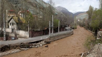 ساخت و ساز