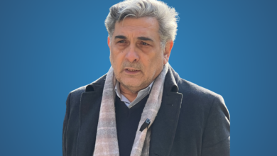 پیروز حناچی، نظام مهندسی